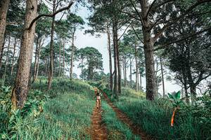 BIB: 
                            <button type="button" onclick="openModal(25652727)" class="btn btn-primary btn-sm float-right btn-popup" data-toggle="modal" data-target=".modal-high-quality">
                        <i class="fas fa-shopping-cart"></i> Add to Cart
                    </button>
                                            <button type="button" onclick="isThisMe(25652727, true)" class="btn btn-success btn-sm float-right btn-popup btn-isme hidden" data-toggle="tooltip" data-placement="bottom" title="นี่คือรูปของคุณใช่ไหม คลิกที่นี่เพื่อเอาเข้าอัลบั้ม">
                        <i class="fas fa-plus"></i> Add to album
                    </button>
                    <button type="button" onclick="isThisMe(25652727, false)" class="btn btn-warning btn-sm float-right btn-popup btn-isnotme hidden">
                        <i class="fas fa-ban"></i> Remove from album
                    </button>